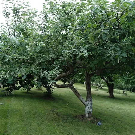 בית נופש El Pajar Valdredo