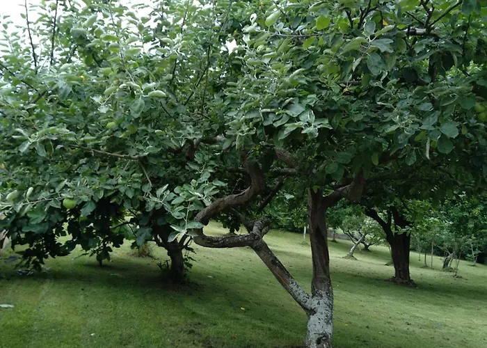 Hébergement de vacances El Pajar Valdredo